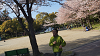 hana26 (334)_thumb.png